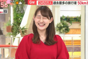 【悲報】森山みなみアナ、育乳してオタクを誘惑してしまう　※画像、gifあり
