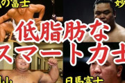 【疑問】力士「ただのデブです」←こいつが評価されてる理由