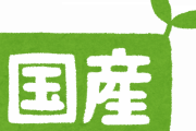 【悲報】スマンけど「国産」って、もはや何の価値もない気が…w