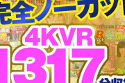 【VR】【500円ワンコイン】完全ノーカット大盤振る舞い特別企画！！4KVR1317分収録スペシャルBOX【永久保存版】