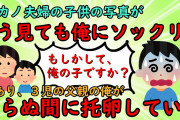 【2ch修羅場スレ】浮気されて別れた元カノ夫婦の子供の写真が俺にソックリだった【托卵】ゆっくり解説