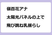 嶺百花アナ／太陽光パネルの上で飛び跳ね乳揺らし