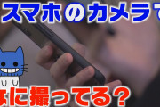 スマホで何撮る？撮った写真はどうしてる？？【マスクにゃんニュース】