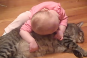 猫のことが好きすぎる人間の赤ちゃん