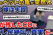 【伝説のスレ】嫁のペットの亀がﾀﾋんだ。俺「寿命だったんだよ」嫁「違うの！」→スレ民絶叫の真相が明らかに…【2ch修羅場スレ・ゆっくり解説】【前編】