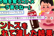 【スカッと】私「それ飲みかけのコーラ！」食欲旺盛なコトメ『いーじゃん、ちょうだいちょうだい！』 →私(コレを仕込んで)「あげる！」 →『きゃぁあぁああああ！！？』【2chスレゆっくり解説】【3本立て】