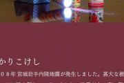 【朗報】こけし業界「地震に役立つ商品……せや！✨」