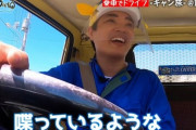 【CANTER】さかなクンさん、車の趣味が渋すぎるｗｗｗｗｗ
