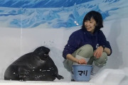 【動画】飼育員のお姉さんとアザラシさんｗｗｗ