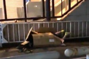 【動画】若者さん、ダンボールの中でセックスしてしまうwwwwwwwww