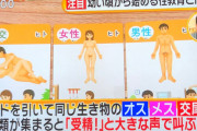 【朗報】性教育、同人誌の世界へ突入するｗｗｗｗｗｗｗｗｗ