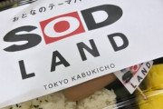 【画像】SOD弁当(500円)