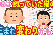 【2chほのぼの】飼ってた猫の生まれ変わりにしか見えない娘→そのまま観察してみたら…