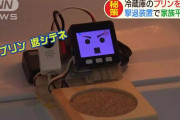 【画像】 冷蔵庫の中のプリンを守る画期的な装置が2年かけて開発される