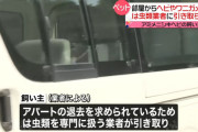 ニシキヘビの飼い主、世間からのバッシングに心が折れ飼ってたペットを全て放棄してしまう