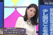 【画像】天才美人弁護士の山口真由さんが巨乳ｗｗｗｗｗｗｗｗ