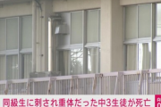 【悲報】逮捕された中3「いじめられていた」と供述