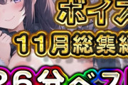 【フル無料】26分 2024年11月 ボイス総集編hitomi