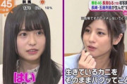 【画像】女子アナ、アイドルを顔面論破