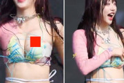 【エロ動画 芸能人】 10代巨乳アイドルさん、ライブ中に乳首ポロリしてネット騒然ｗｗ