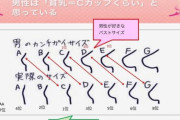 【悲報】男さん女さんのCカップおっぱいを過大評価している