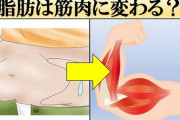 脂肪が筋肉に変わると思ってるやつｗｗｗｗｗｗｗｗｗｗｗ