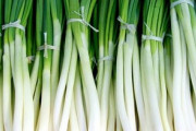 【緊急】えっネギの青いところって捨てるよな・・・？ｗｗｗｗｗｗｗｗｗｗ