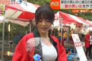 【画像】テレ東の森香澄アナがエロいおっぱいをユッサユッサさせてしまう！※GIFあり