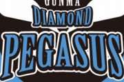 プロ野球の安田選手を逮捕…副業のウーバーイーツ配送先で10代女性に性的暴行容疑…プロフィール有
