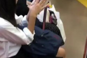 【朗報】めっちゃ可愛いJKさん、電車で盗撮されてしまう