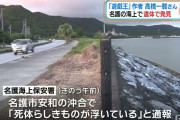 【悲報】遊戯王の作者さん、非常に危険なエリアでシュノーケリングをしていた「足は皮だけでつながり、臓器が飛び出し、お尻が半分無い」