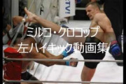 【動画】当時格闘技界最強レベルの選手だったミルコクロコップのハイキックｗｗｗｗｗｗｗｗｗ
