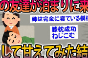【2ch面白スレ】姉の友達21歳が泊まりに来たから安価→部屋に突入し甘えるイッチにスレ民発狂ｗｗ【ゆっくり解説】