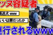 【2ch動物スレ】イッヌ容疑者、警察に連行されるｗｗｗｗｗｗｗｗｗｗ