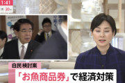【炎上】日本政府「お肉券、お魚券がダメなら、木材券だ！！」