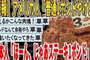 【2ch面白いスレ】【悲報】アメリカ人「普通1ポンドやけどな」日本人「ほーん、じゃあステーキ1ポンド」ｗｗｗｗｗｗｗｗｗ　聞き流し/2ch天国