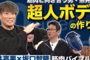 ワイ「糸井嘉男ってムキムキやし全盛期ホームラン40本ぐらい打ってたんちゃうか」