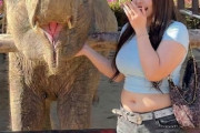 【画像】豊満ギャル「待って、動物園行ったらゾウ🐘より足太かったんだけどw」
