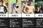 大谷ってずるくね？知能、忍耐、パワー、スピード、肉体、顔全部パーフェクト。なんなんだあいつ？