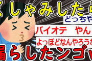 【2ch面白いスレ】くしゃみしたら大小出た…誰か助けてｗｗｗ【ゆっくり解説】