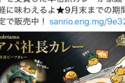 【悲報】サンリオ、アパホテルとコラボし炎上