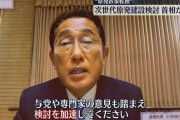 【画像】岸田文雄「───────検討を加速。」