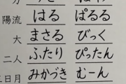 【悲報】こんなキラキラネームマジで存在すんの？これもう虐待だろ……