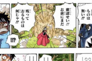 【悲報】ルフィさん、仲間をグループ分けしてしまうｗｗｗｗｗｗｗｗｗｗｗ