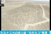【朗報】ナスカの地上絵、さらに発見されるｗｗｗｗｗｗｗｗｗｗｗｗｗｗｗｗｗｗｗｗｗ