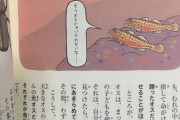 【画像】逞しいオスを見るとメス化して孕まれに行く魚、見つかる