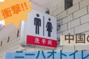 【画像】中国のトイレ、近年の経済発展で進化していたwww