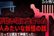【2ch怖いスレ】俺が幼い頃に出会った仙人みたいな妖怪の話「俺にとっては親友で神様だった」【ゆっくり解説】