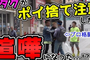 歌舞伎町で、格闘家がゴミ捨て注意したら絡まれる動画見たんだが、マジで龍が如くみたいに怖い街なの？