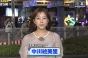【画像】中川絵美里キャスターが透け透けでエッチだと話題